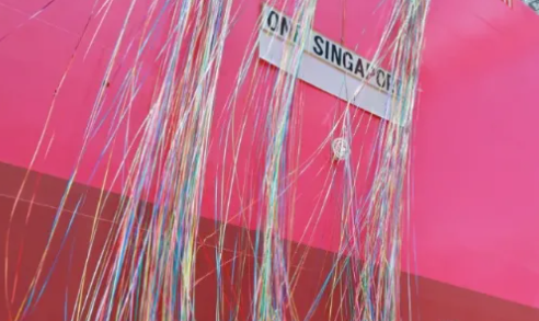ONE全球运力大跃升！新船“ONE SINGAPORE”燃爆亚洲-拉美航线
