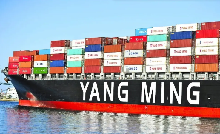 阳明海运订购7艘LNG双燃料集装箱船！船队优化大步迈进